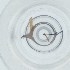  ( - CARM_036_D1)  @11 [ ] by  Genome Research Ltd as Wellcome Sanger Institute Genome Research Limited operating as Wellcome Sanger Institute