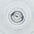  ( - CARM_047_D8)  @11 [ ] by (2023) Genome Research Ltd as Wellcome Sanger Institute Genome Research Limited operating as Wellcome Sanger Institute
