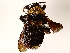  ( - BIOUG71203-E12)  @11 [ ] CreativeCommons - Attribution (2022) CBG Photography Group Centre for Biodiversity Genomics