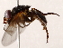  ( - BIOUG71203-G09)  @11 [ ] CreativeCommons - Attribution (2022) CBG Photography Group Centre for Biodiversity Genomics