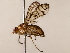  ( - BIOUG71203-H08)  @11 [ ] CreativeCommons - Attribution (2022) CBG Photography Group Centre for Biodiversity Genomics