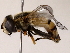  ( - BIOUG71204-A07)  @11 [ ] CreativeCommons - Attribution (2022) CBG Photography Group Centre for Biodiversity Genomics