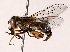  ( - BIOUG71204-B12)  @11 [ ] CreativeCommons - Attribution (2022) CBG Photography Group Centre for Biodiversity Genomics