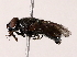  ( - BIOUG71204-D11)  @11 [ ] CreativeCommons - Attribution (2022) CBG Photography Group Centre for Biodiversity Genomics