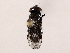  ( - BIOUG71204-E06)  @11 [ ] CreativeCommons - Attribution (2022) CBG Photography Group Centre for Biodiversity Genomics