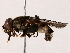  ( - BIOUG71205-D01)  @11 [ ] CreativeCommons - Attribution (2022) CBG Photography Group Centre for Biodiversity Genomics