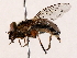  ( - BIOUG71205-F02)  @11 [ ] CreativeCommons - Attribution (2022) CBG Photography Group Centre for Biodiversity Genomics