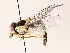 ( - BIOUG71205-G10)  @11 [ ] CreativeCommons - Attribution (2022) CBG Photography Group Centre for Biodiversity Genomics