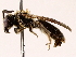 ( - BIOUG71206-A12)  @11 [ ] CreativeCommons - Attribution (2022) CBG Photography Group Centre for Biodiversity Genomics