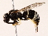  ( - BIOUG71206-C08)  @11 [ ] CreativeCommons - Attribution (2022) CBG Photography Group Centre for Biodiversity Genomics