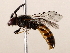  ( - BIOUG71206-H08)  @11 [ ] CreativeCommons - Attribution (2022) CBG Photography Group Centre for Biodiversity Genomics