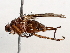 ( - BIOUG73901-H01)  @11 [ ] CreativeCommons - Attribution (2021) CBG Photography Group Centre for Biodiversity Genomics