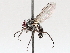  ( - BIOUG73902-C07)  @11 [ ] CreativeCommons - Attribution (2021) CBG Photography Group Centre for Biodiversity Genomics