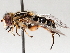  ( - BIOUG73902-D11)  @11 [ ] CreativeCommons - Attribution (2021) CBG Photography Group Centre for Biodiversity Genomics