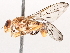  ( - BIOUG73902-G06)  @11 [ ] CreativeCommons - Attribution (2021) CBG Photography Group Centre for Biodiversity Genomics