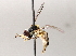  ( - BIOUG73902-G12)  @11 [ ] CreativeCommons - Attribution (2021) CBG Photography Group Centre for Biodiversity Genomics
