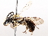  ( - BIOUG73902-H09)  @11 [ ] CreativeCommons - Attribution (2021) CBG Photography Group Centre for Biodiversity Genomics