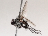  ( - BIOUG73903-E02)  @11 [ ] CreativeCommons - Attribution (2021) CBG Photography Group Centre for Biodiversity Genomics