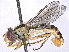  ( - BIOUG85290-B12)  @11 [ ] CreativeCommons - Attribution (2022) CBG Photography Group Centre for Biodiversity Genomics