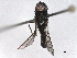  ( - BIOUG85290-D12)  @11 [ ] CreativeCommons - Attribution Non-Commercial Share-Alike (2022) CBG Photography Group Centre for Biodiversity Genomics