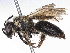  ( - BIOUG85290-F04)  @11 [ ] CreativeCommons - Attribution (2022) CBG Photography Group Centre for Biodiversity Genomics