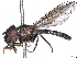  ( - BIOUG85291-C07)  @11 [ ] CreativeCommons - Attribution (2022) CBG Photography Group Centre for Biodiversity Genomics