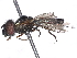  ( - BIOUG85291-H02)  @11 [ ] CreativeCommons - Attribution (2022) CBG Photography Group Centre for Biodiversity Genomics