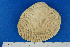  ( - JG080901)  @12 [ ] Unspecified (default): All Rights Reserved  Unspecified Unspecified