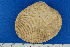  ( - JG080902)  @13 [ ] Unspecified (default): All Rights Reserved  Unspecified Unspecified