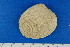  ( - JQ080501)  @13 [ ] Unspecified (default): All Rights Reserved  Unspecified Unspecified