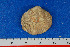  ( - JQ080502)  @13 [ ] Unspecified (default): All Rights Reserved  Unspecified Unspecified