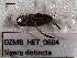  ( - DZMB_HET_0604)  @12 [ ] CreativeCommons - Attribution Non-Commercial Share-Alike (2016) Nadine Lange Carl von Ossietzky University