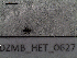  ( - DZMB_HET_0627)  @12 [ ] CreativeCommons - Attribution Non-Commercial Share-Alike (2017) Nadine Lange DZMB / Senckenberg am Meer