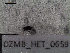  ( - DZMB_HET_0659)  @12 [ ] CreativeCommons - Attribution Non-Commercial Share-Alike (2016) Nadine Lange Carl von Ossietzky University