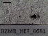  ( - DZMB_HET_0661)  @12 [ ] CreativeCommons - Attribution Non-Commercial Share-Alike (2016) Nadine Lange Carl von Ossietzky University