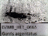  ( - DZMB_HET_0665)  @12 [ ] CreativeCommons - Attribution Non-Commercial Share-Alike (2016) Nadine Lange Carl von Ossietzky University