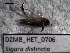  ( - DZMB_HET_0706)  @12 [ ] CreativeCommons - Attribution Non-Commercial Share-Alike (2016) Nadine Lange Carl von Ossietzky University