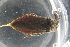  ( - GBOL19480)  @13 [ ] CreativeCommons - Attribution Share-Alike (2017) Lars Hendrich Carl von Ossietzky Universitat Oldenburg