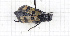  ( - RM3_101)  @11 [ ] (by-nc-nd) (2024) Unspecified Università degli Studi Roma Tre