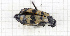  ( - RM3_102)  @11 [ ] (by-nc-nd) (2024) Unspecified Università degli Studi Roma Tre