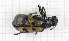  ( - RM3_105)  @11 [ ] (by-nc-nd) (2024) Unspecified Università degli Studi Roma Tre