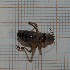  ( - RM3_1300)  @11 [ ] (by-nc-nd) (2025) Unspecified Università degli Studi Roma Tre