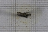  ( - RM3_225)  @11 [ ] (by-nc-nd) (2025) Unspecified Università degli Studi Roma Tre