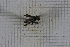  ( - RM3_226)  @11 [ ] (by-nc-nd) (2025) Unspecified Università degli Studi Roma Tre