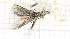  ( - RM3_228)  @11 [ ] (by-nc-nd) (2024) Unspecified Università degli Studi Roma Tre