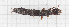  ( - RM3_29)  @11 [ ] (by-nc-nd) (2024) Unspecified Università degli Studi Roma Tre