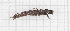  ( - RM3_32)  @11 [ ] (by-nc-nd) (2024) Unspecified Università degli Studi Roma Tre