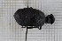  ( - RM3_395)  @11 [ ] (by-nc-nd) (2025) Unspecified Università degli Studi Roma Tre
