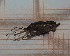  ( - RM3_1350)  @11 [ ] (by-nc-nd) (2025) Unspecified Università degli Studi Roma Tre