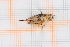  ( - RM3_679)  @11 [ ] (by-nc-nd) (2025) Unspecified Università degli Studi Roma Tre